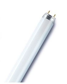 Lempa liuminescencinė Polamp 18W, T8 (G13), 4000K, 840 EL18