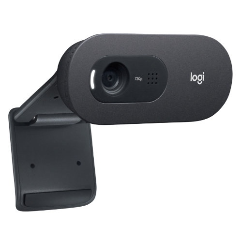 Logitech C505 HD USB  (960-001364), internetinė kamera