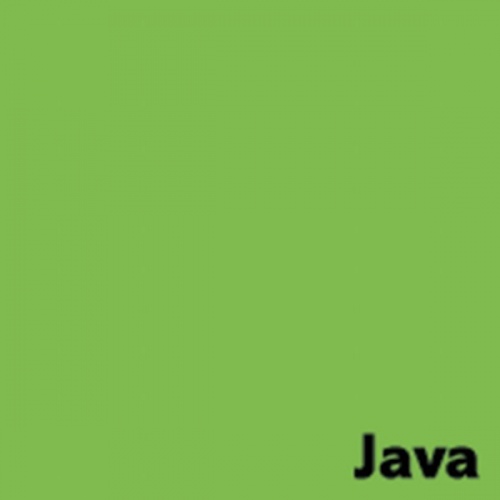 Spalvotas popierius Image Coloraction 67 Java A4, 80g, pievos žalia (500) 1619192