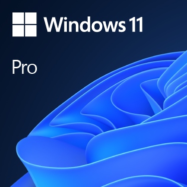 Operacinė sistema Microsoft Windows 11 Pro 64-Bit DVD OEM English International (EN)